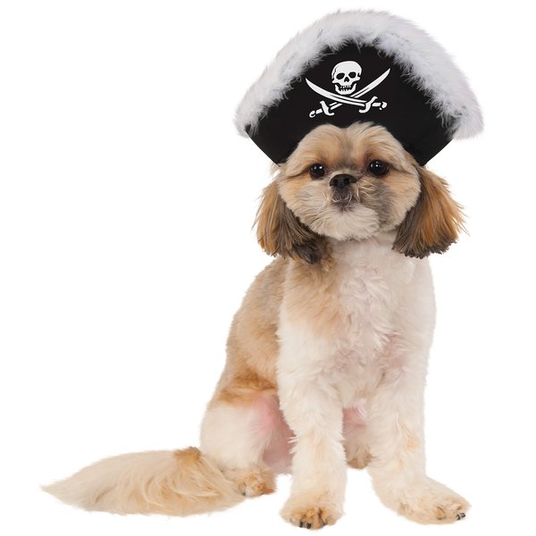 Pet Pirate Hat, Small/Medium