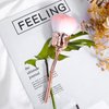 Rose Makeup Brushes Dust Brush For Nails Rose Nail Dust Brush Acrylic Nail Arts Manicure Dust Cleaner Brush Pink Soft Nail Art Dust Powder Brush Blush Brush For Nail Salon And Household Use