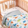 HOMRITAR Baby Blanket for Kids Super Soft Minky Blanket with Dotted Backing, Toddler Blanket with Dinosaurs Multicolor Printed 30 x 40 inch(75x100cm)