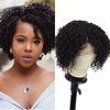 Blissource Short Kinky Curly Wigs Human Hair Wigs for Black Women 10inch Short Curly L Part Lace Front Wigs 150% Density Unprocessed Brazilian Glueless Wigs Side Part Wig African American Women Wig