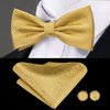 Dubulle Gold Paisley Cummerbund and Bowtie for Men Gold Bow Tie and Pocket Square