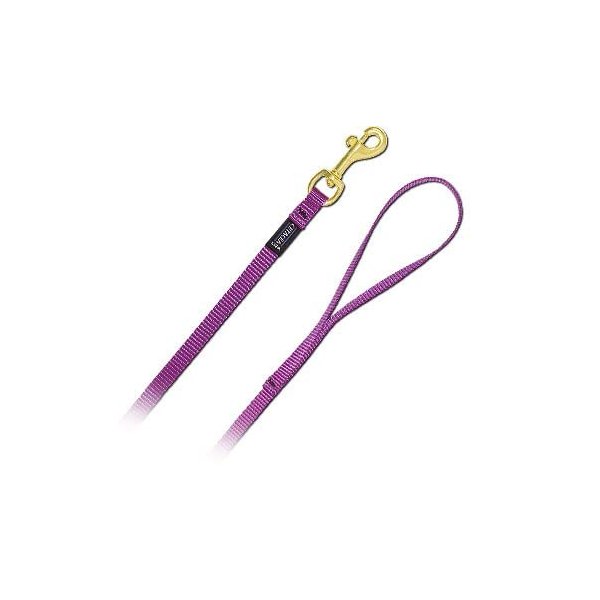 4' Pet Leash - Extra Small - Baby Pink Dog Leash