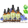 Botanical Beauty ORGANIC BLACK CUMIN SEED OIL Nigella sativa 100% Pure Natural Virgin Undiluted 0.5 Fl.oz.- 15 ml for Face, Skin, Hair, Lip, Nails. Rich in Vitamin C, vitamin E