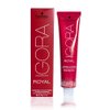 Schwarzkopf Professional Igora Royal Permanent Hair Color 4-68, Medium Auburn Brown, 60 Gram