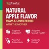 Organic Apple Cider Vinegar Gummies - ACV Gummies to Support Digestive Health and Gut Flora for Digestion - Natural Apple Flavor - 60 Organic, Vegan, and Non-GMO Apple Cider Vinegar Gummies