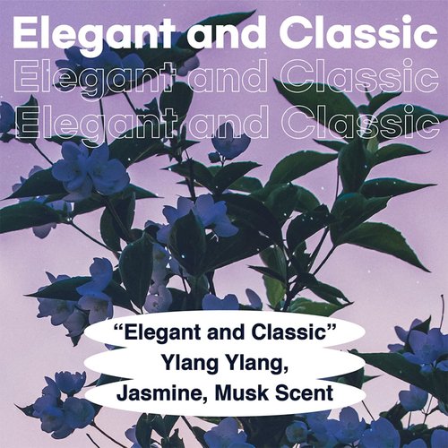 skybottle Daily Moisturizing Body Lotion Perfumed with Ylang Ylang, Jasmine, Musk Scent, Fast Absorbing, Lightweight and Extra Hydrating Cream for Dry Skin, for Women & Men, 10.1 Fl. Oz