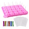 CCINEE 20 Cavity Silicone Cake Pop Mold with 30 pcs of Clear Cellophane Treat Bags 20 pcs Lollipop Sticks and 30 pcs Twist Ties in 6 Colors for Cake Pop Making and Packing