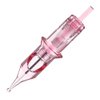 Charme Princesse 10 PCS 1RL Needle Cartridge With Safety Membrane Professional Tattoo Needles for Eyebrow Eyeliner Lip EN02E-10-1001RL(0.3mm)