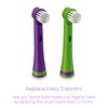 Brusheez® Electronic Toothbrush Replacement Brush Heads 2 Pack (Snappy The Croc)
