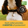 Only Natural Pet EasyDefense Flea & Tick Dog Collar - Canine Flea Collars Flea and Tick Control - Pet Flea Care That Protects up to 4 Months - for Dogs (Single)