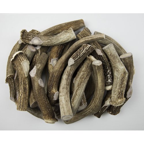 Antler Man® Premium Jumbo Deer Antler Pieces - Dog Chews - Sold by The Pound