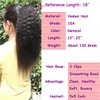 Feelgrace Virgin Human Hair Kinky Straight Ponytail Hair Extensions Clip in Hair Extension Remy Hair (16 Inch, Kinky Straight)