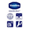 Vaseline Petroleum Jelly, Cocoa Butter, 7.5 Oz