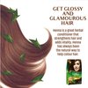 Dabur Henna Hair Color - Dark Brown, Henna Hair Dye and Conditioner, Ammonia Free, 100% Grey Coverage, 6 Sachets X 10g