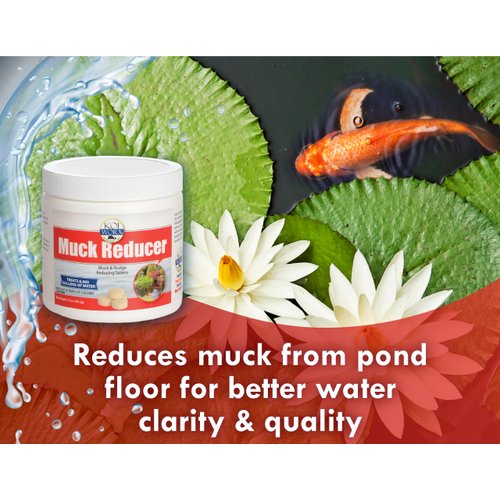 KoiWorx Muck Reducer, 145 Tablets Treats up to 6,000 Gallons of Water, Beneficial Bacteria Reduces Muck, Sludge and Organic Build up, Formulated for Ponds, Water Features and Safe for Koi
