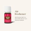 Christmas Spirit Essential Oil Blend by Young Living - 5ml Bottle for Holiday Cheer - Joyful and Festive Aroma - 100% Pure, Therapeutic-Grade Essential Oil