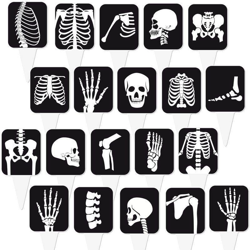 48Pcs X Ray Cupcake Toppers Radiology Tech Week Decorations X-ray ...