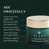 PLANT IMMORTELLE Golden Nourishing Face Cream - Rich Anti-Aging Cream For Radiant Skin - Moisturizes & Nourishes Skin