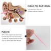 EXCEART 30pcs Ear Wax Cleaner Disposable Ear Pick Ear Cleaner Ear Spoon Ear Wax Remover Tool Ear Cleansing Tool (Random Color)