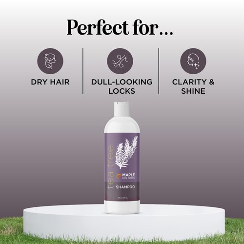 Tea Tree Shampoo for Oily Hair - Paraben and Sulfate Free Clarifying Shampoo for Build Up and Dry Scalp - Purifying Aromatherapy