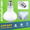 LUCKY HERP 4 Pack 100W Reptile Heat Lamp Bulb (2nd Gen), Amphibian Basking Light Bulb, Reptile Daylight Bulb for Turtle, Bearded Dragon, Lizard Heating Use