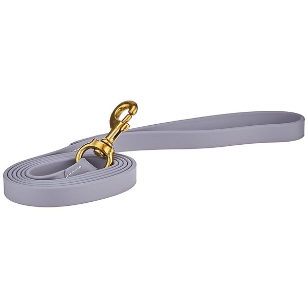 J&J Dog Supplies Biothane Dog Leash, 3/4" Wide by 6' Long, Gray