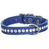 OmniPet Signature Leather Crystal and Leather Dog Collar, 12", Blue
