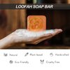Dapoprren Natural Loofah Soap Bar 4PCS,Exfoliating Natural Soap with Loofah Inside-[Turmeric,Aloe,Rose,Coconut Milk],Moisturizing Handmade Soap For Face and Body