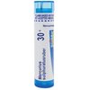 Boiron Mercurius Sulphuratus Ruber 30C Md 80 Pellets for Warts Bleeding at The slightest Touch