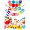 10 Pieces Happy Birthday Decorations Banner With Tissue Pom Poms For Rainbow Birthday Party Supplies