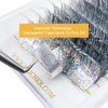 HAICHER Colored Lash Extensions CC Curl 9-18mm Mixed Lash Trays, Holographic Lash Tinsel for Eyelash Extension (Silver, Volume)
