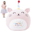 12 Inch Plush Birthday Cat Kitty Stuffed Animal Happy Birthday Cat Hugging Pillow Birthday Cat Plushies Throw Pillow Birthday Pink Cat Kitten Anime Gift for Kids and Lovers