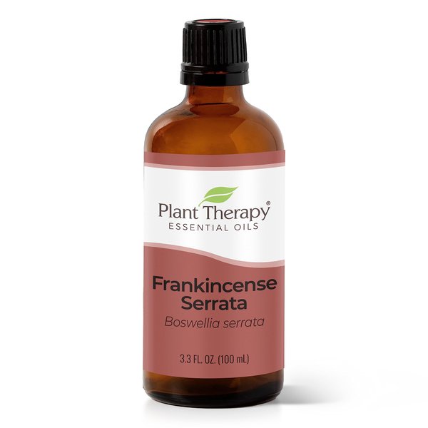 Plant Therapy Frankincense Serrata Essential Oil 100% Pure, Undiluted, Natural Aromatherapy, Therapeutic Grade 100 mL (3.3 oz)