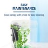 Tetra Bubbling LED Aquarium Kit 1 Gallon, Hexagon Shape, With Color-Changing Light Disc,Green (Packaging may vary) , 1 gallon (7.5 x 7.5 x 7.7")