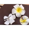 Hawaiian Flower Hair Clips Plumeria Hair Barrettes Clip for Women Girls White Floral Hairpins for Summer Beach Hair Accessories 3pcs