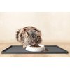 CatGuru Cat Bowls, Whisker Stress Free Cat Food Bowl, Reliefs Whisker Fatigue, Wide Cat Bowl, Non Slip Cat Food Bowls, Shallow Cat Dish, Cat Feeding & Watering Supplies (Marshmallow)