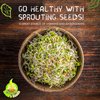 Todd’s Seeds - Protein Bean Sprouting Seed Mix - Green Pea - Mung Bean - Adzuki - Garbanzo - One Pound - Non GMO