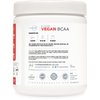 Type Zero Ultra Clean Vegan BCAA Powder + Electrolytes (Hawaiian Punch | 6G) 2:1:1 Sugar-Free/No Sucralose BCAAs Amino Acids Supplement for Women/Men - Best BCAA Vegan Amino Acids After Workout Drink