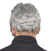 The Most Interesting Man In The World Grey Costume Wig & Beard Set