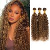 ALHER Water Wave Ombre 3 Bundles 20 22 24 Inch Honey Blonde Highlight Wet and Wavy Bundles Human Hair P4/27 Piano Brown Color Bundles for Black Women Soft Thick 10A 100% Brazilian Virgin Remy Hair