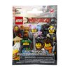 LEGO Minifigures Minifigures 2017_3 71019 Building Kit