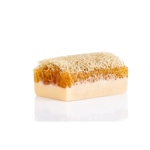 SABUN CO. Donkey Milk Soap with Honey - Natural Exfoliating Loofah Soap Bar - Nourishing, Hydrating, Moisturizing Handmade Soap for Face and Body - Soap with Loofah Inside [4.4 oz - 125 gr]