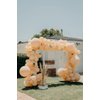 Pastel Orange Balloons 84 pcs Peach Balloons Garland Arch Kit 5 inch +12 inch +18 inch Pastel Orange Balloons Happy Birthday Balloons Baby Shower Decorations Wedding Balloons