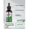 Horbäach Peppermint Leaf Liquid Extract | 2 fl oz | Vegetarian, Non-GMO & Gluten Free Herbal Supplement