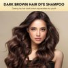 MOISTAR Dark Drown Hair Dye Shampoo 3 in 1 for Gray Hair Women and Men, Argan Champu Para Canas, Herbal Hair Dye Shampoo Natural Plant -500ml