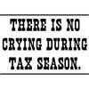 CafePress No Crying During Tax Season Wall Decal 20x12 Wall Decal, Vinyl Wall Peel, Reusable Wall Cling