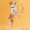 Dogline 3/8-Inch Wide Soft Padded Rolled Round Leather Dog Leash Lead, 4-Feet, Orange