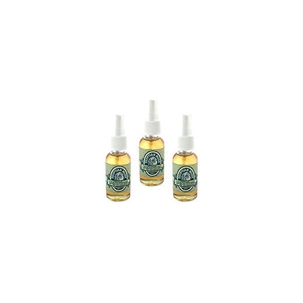 BluntPower 1 Ounce Glass Bottle Oil Based Concentrated Air Freshener and Oil for Burner, Egyptian Musk