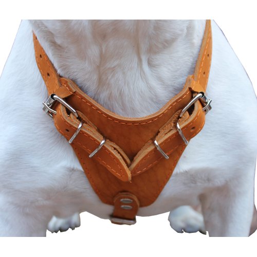 Genuine Leather Dog Harness, 33"-41" Chest, 1" Wide Straps Newfoundland, Great Dane