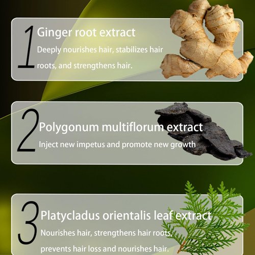 Ginger Plant Extract Hair Shampoo，2024 new upgrade Ginger Plant Extract Anti-Hair Loss Hair Shampoo (20g*10bags)
